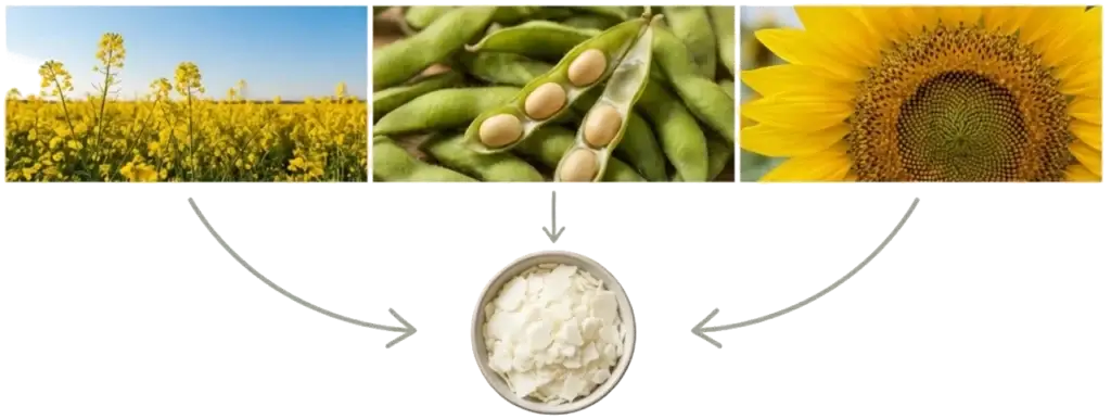 Cire végétale pour Bougie artisanale - Savonnerie Ciergerie d'Art Bain d'étoile