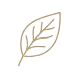 La saponification à froid est peu énergivore - Savonnerie Ciergerie Bain d'étoile